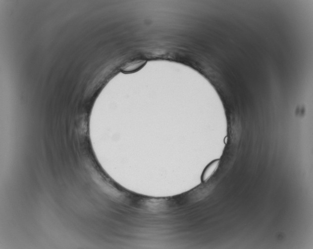 X0000112940085200910051205