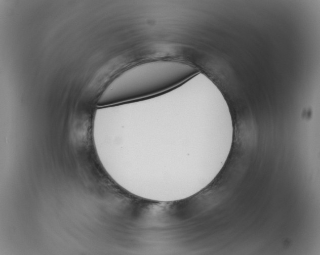 X0000112940092200910051205