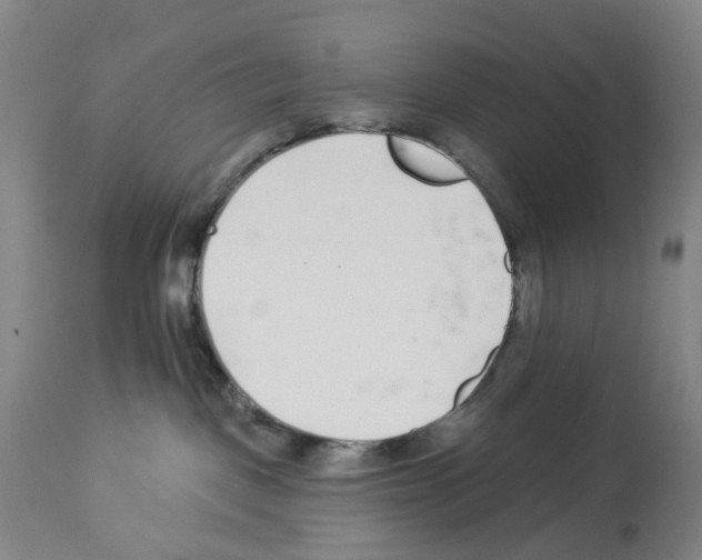 X0000112940093200910051205