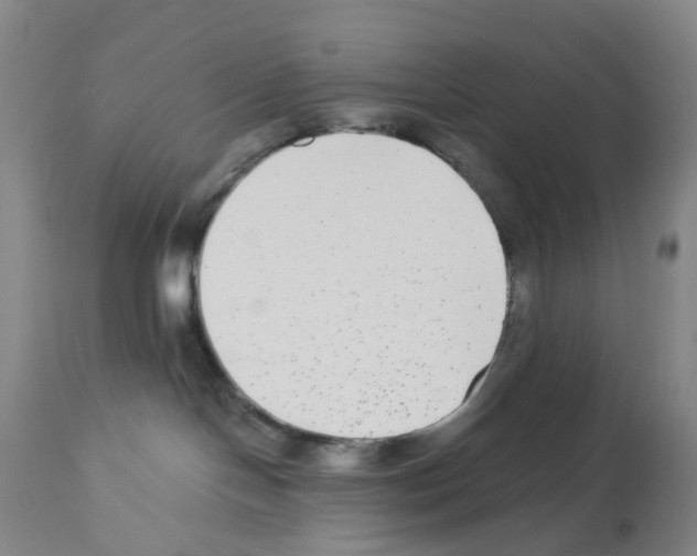 X0000112940094200910051205