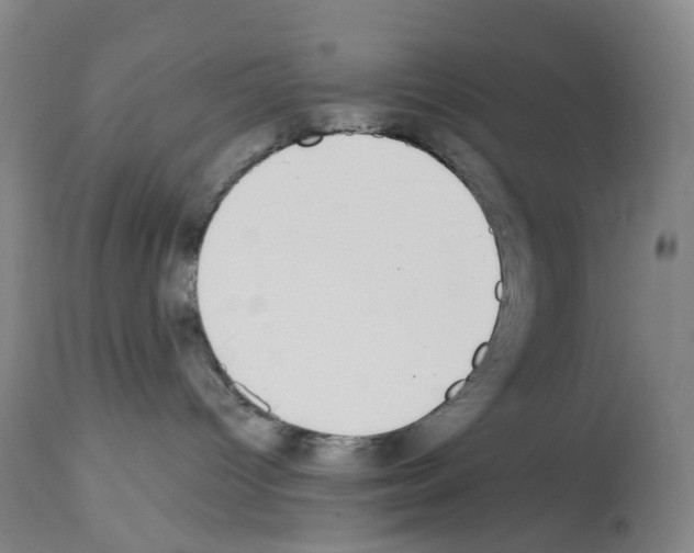 X0000112940096200910051205
