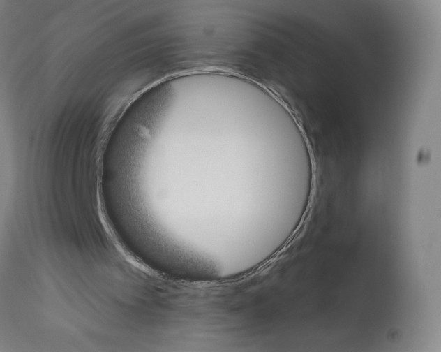 X0000112940097200910051205