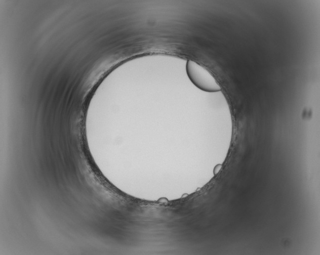 X0000112940098200910051205
