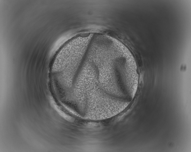 X0000112940101200910051205