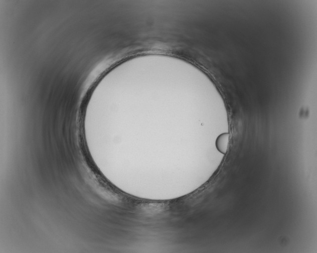 X0000112940102200910051205