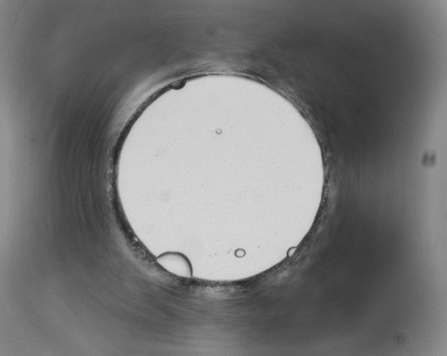 X0000112940103200910051205
