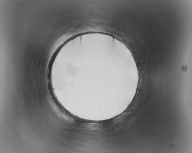 X0000112940104200910051205
