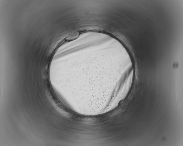 X0000112940105200910051205