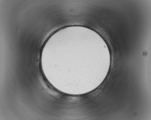 X0000112940107200910051205