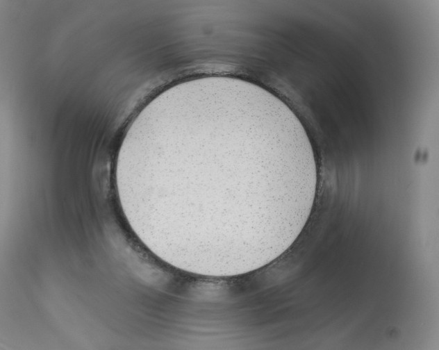X0000112940110200910051205