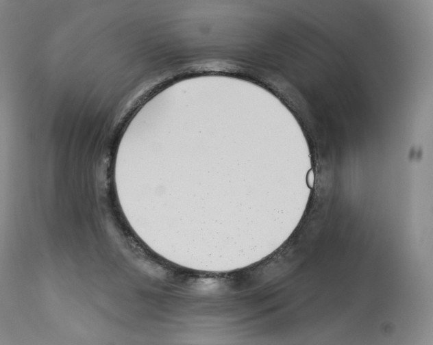 X0000112940111200910051205