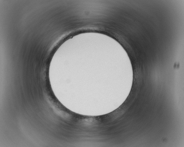 X0000112940112200910051205