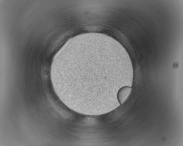 X0000112940114200910051205