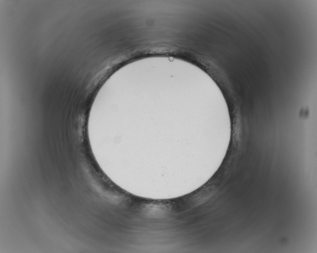 X0000112940115200910051205