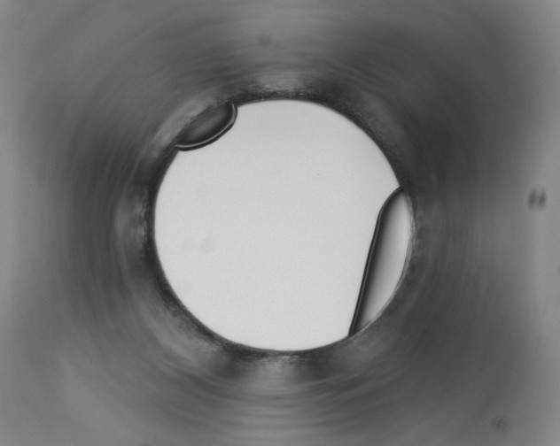 X0000112940116200910051205