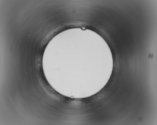 X0000112940119200910051205