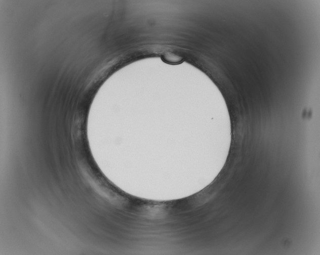 X0000112940120200910051205