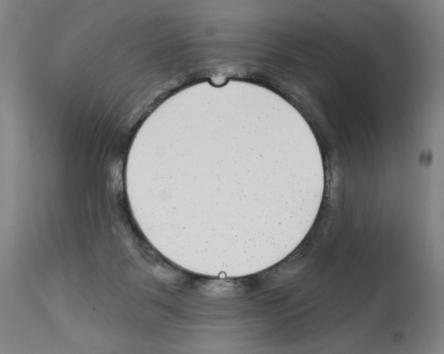 X0000112940123200910051204