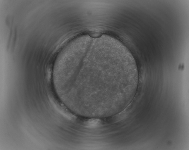 X0000112940124200910051204