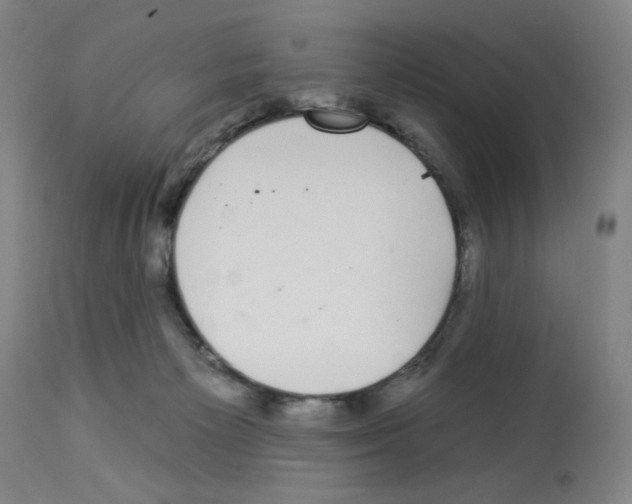 X0000112940125200910051204
