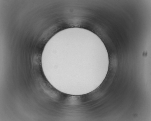 X0000112940126200910051204
