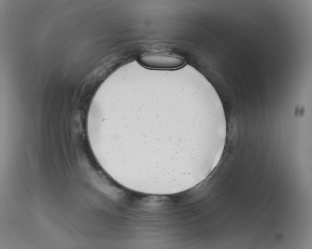 X0000112940128200910051204