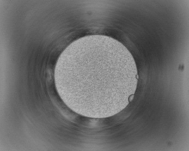 X0000112940130200910051204