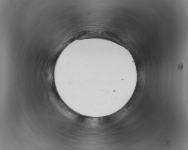 X0000112940131200910051204