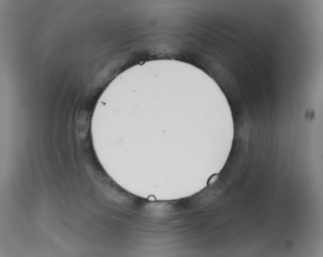 X0000112940133200910051204