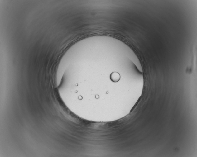 X0000112940136200910051204