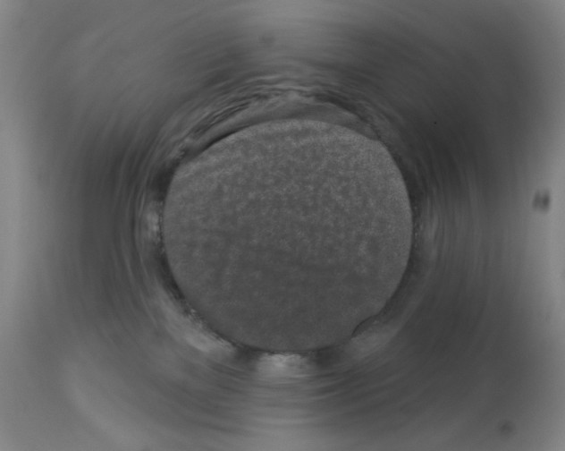 X0000112940137200910051204