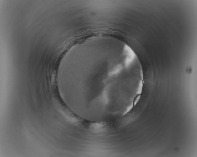 X0000112940139200910051204