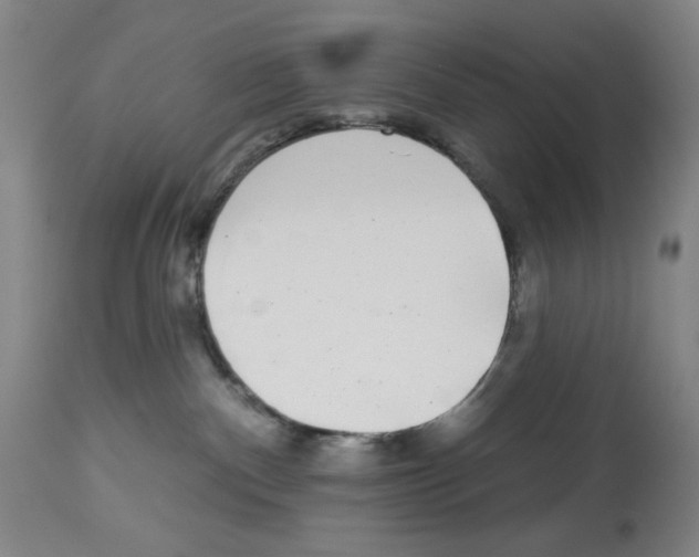 X0000112940140200910051204
