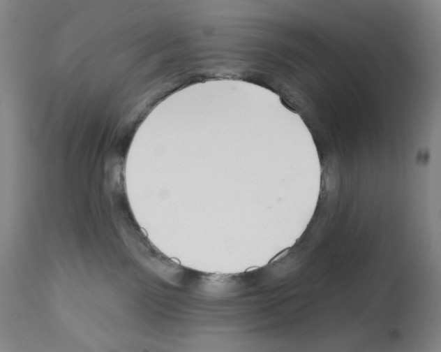 X0000112940141200910051204