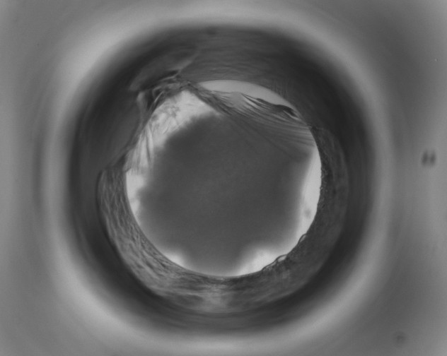 X0000112940143200910051204