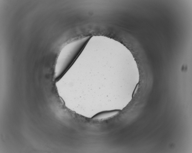 X0000112940144200910051204