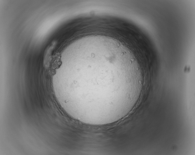 X0000112940146200910051204