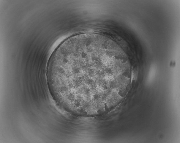 X0000112940147200910051204