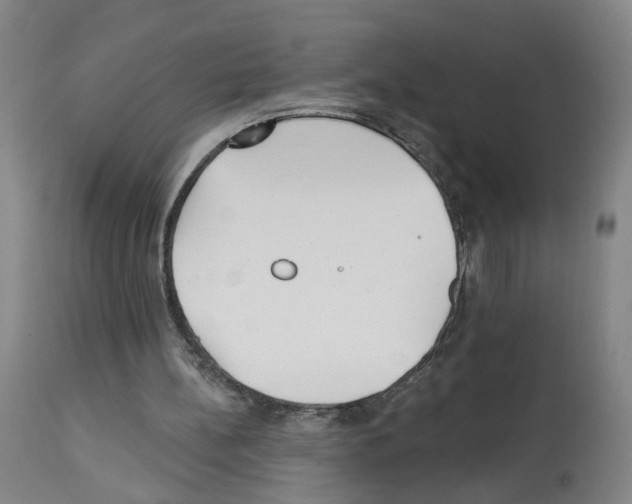 X0000112940148200910051204
