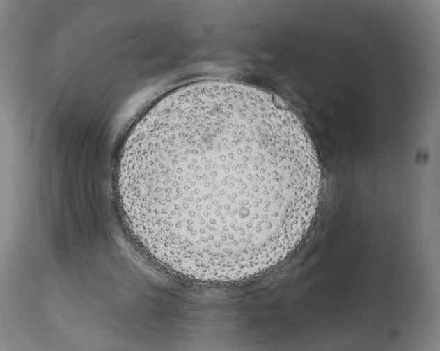 X0000112940149200910051204