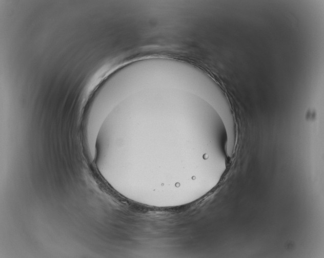 X0000112940150200910051204