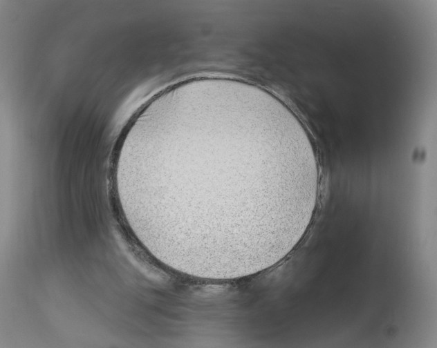 X0000112940151200910051204