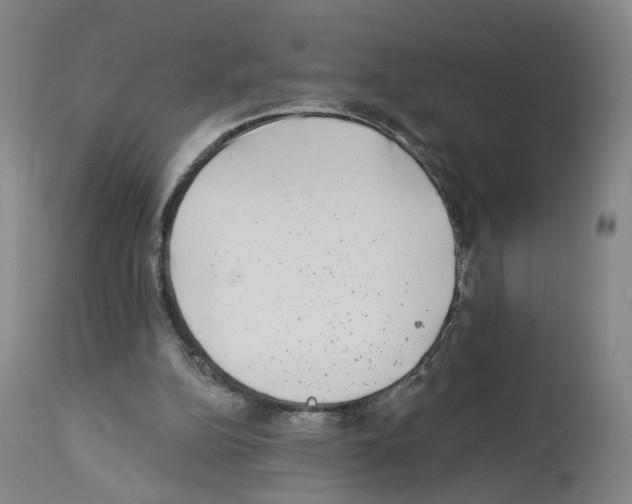 X0000112940152200910051204