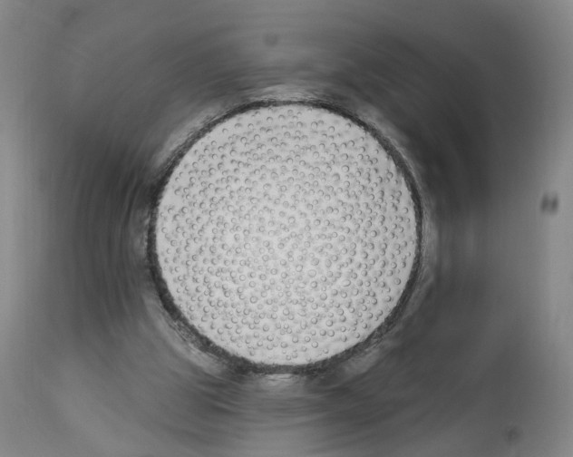 X0000112940153200910051204