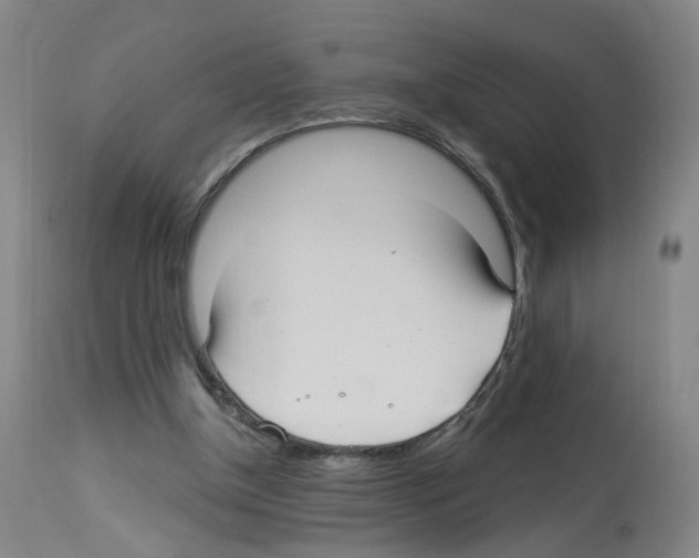 X0000112940154200910051204