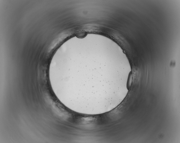 X0000112940158200910051204