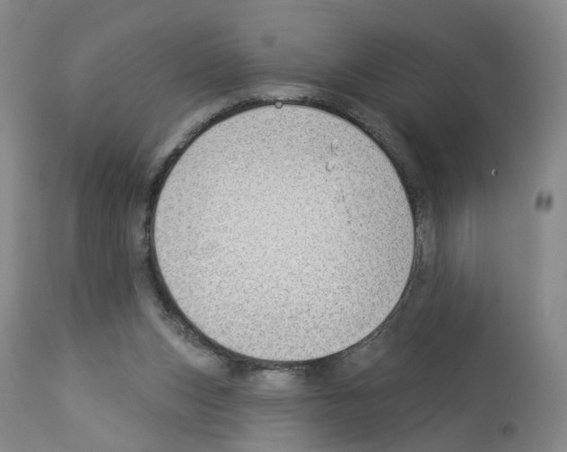 X0000112940159200910051204