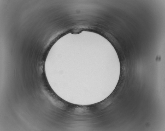 X0000112940160200910051204
