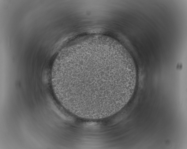 X0000112940161200910051204
