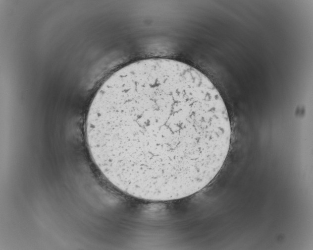 X0000112940162200910051204